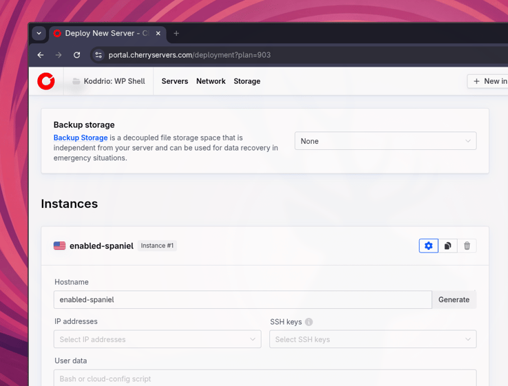 Cherry Servers Select SSH key