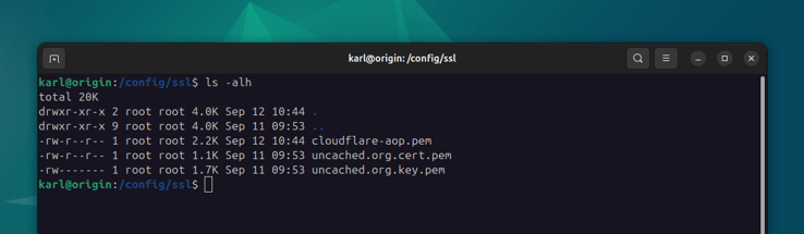 Cloudflare cert permissions