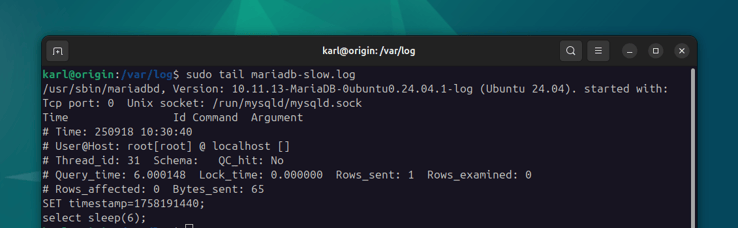MariaDB slow query log