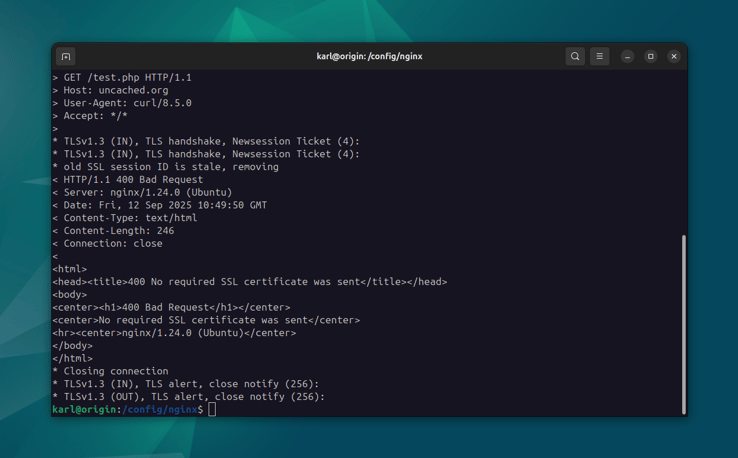Nginx client certificate error