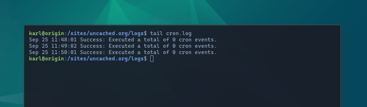 WordPress cron log