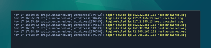 WordPress login failure syslog