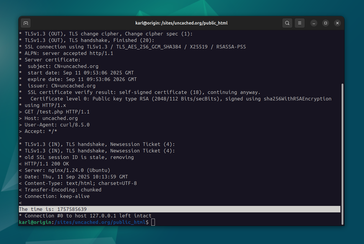 Nginx cURL test