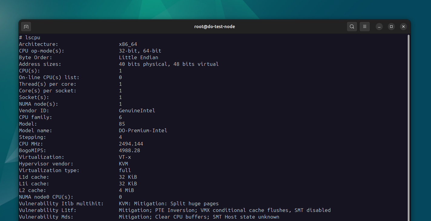 DigitalOcean lscpu
